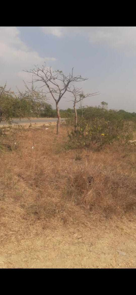  Agricultural Land 30 Guntha for Sale in Narayanpet, Mahbubnagar