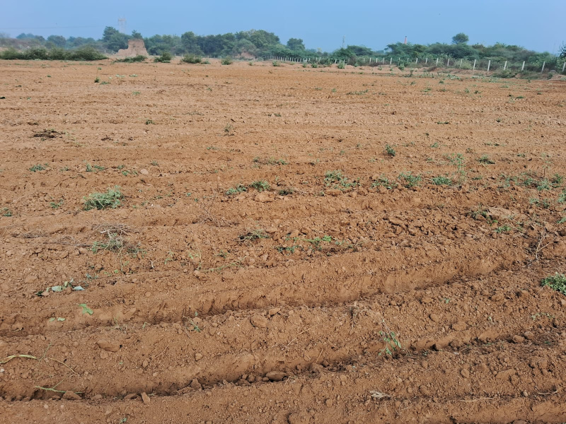  Industrial Land 22 Sq.ft. for Sale in Nandesari GIDC, Vadodara