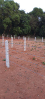  Agricultural Land for Sale in Hosanagara, Shimoga