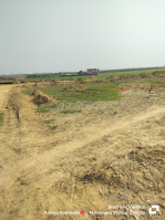  Commercial Land for Sale in Kaudia Jungle, Gorakhpur