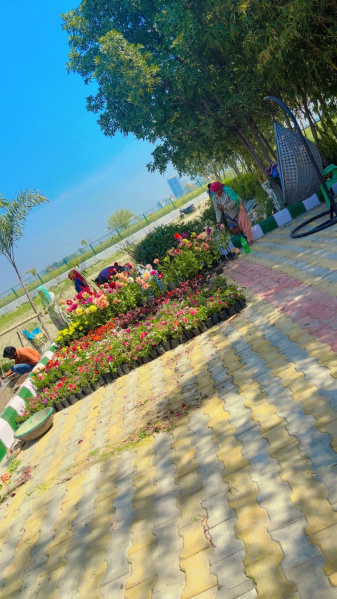 2 BHK Farm House 1008 Sq. Yards for Sale in Jaganpur Doab, Gautam Buddha Nagar