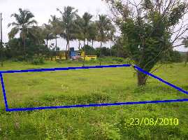  Residential Plot for Sale in Chorao, North Goa, 