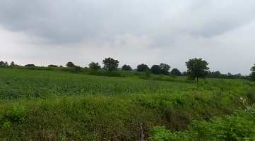  Agricultural Land for Sale in Mangrol, Surat