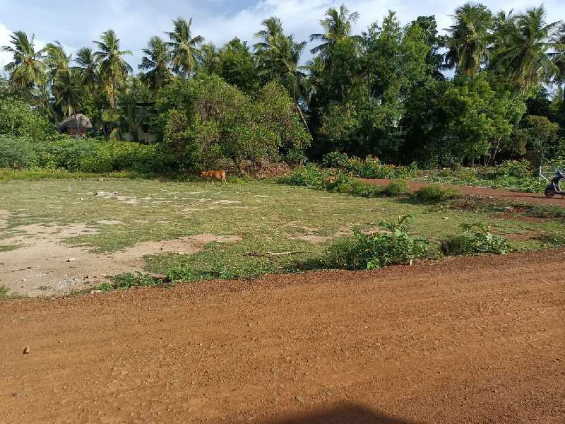  Residential Plot 1000 Sq.ft. for Sale in Kumbakonam, Thanjavur