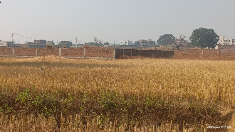  5 Dismil Residential Plot for Sale in Kanke, Ranchi