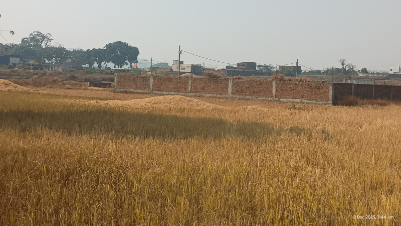  5 Dismil Residential Plot for Sale in Kanke, Ranchi