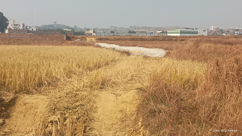  5 Dismil Residential Plot for Sale in Kanke, Ranchi