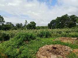  Residential Plot for Sale in Kaggalipura, Bangalore
