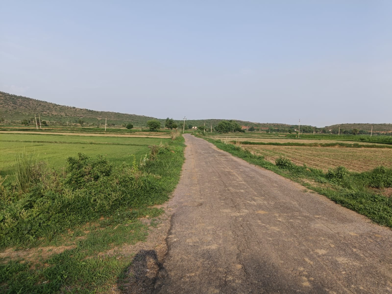  Agricultural Land 25 Bigha for Sale in Naugaon, Alwar