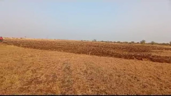  Agricultural Land for Sale in Narayankhed, Sangareddy