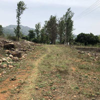  Agricultural Land for Sale in Yelagiri, Vellore