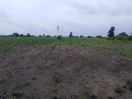  Agricultural Land for Sale in Hinganghat, Wardha
