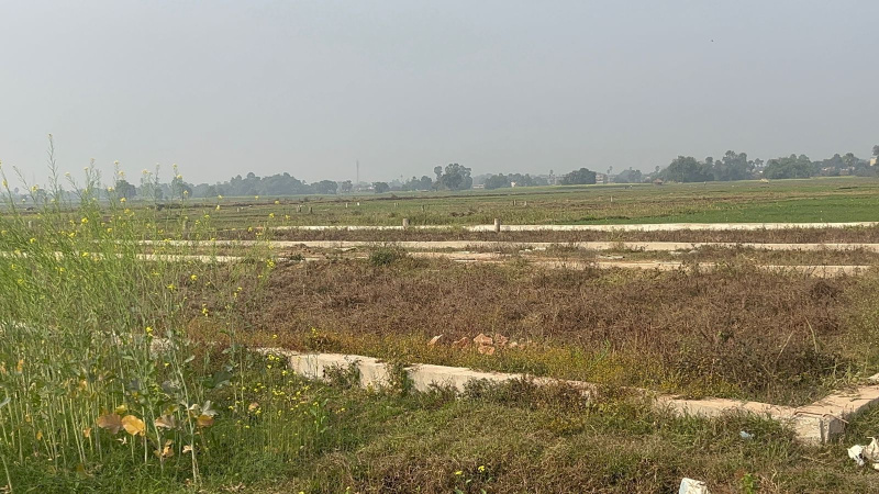  Residential Plot 1200 Sq.ft. for Sale in Kanhauli, Bihta, Patna