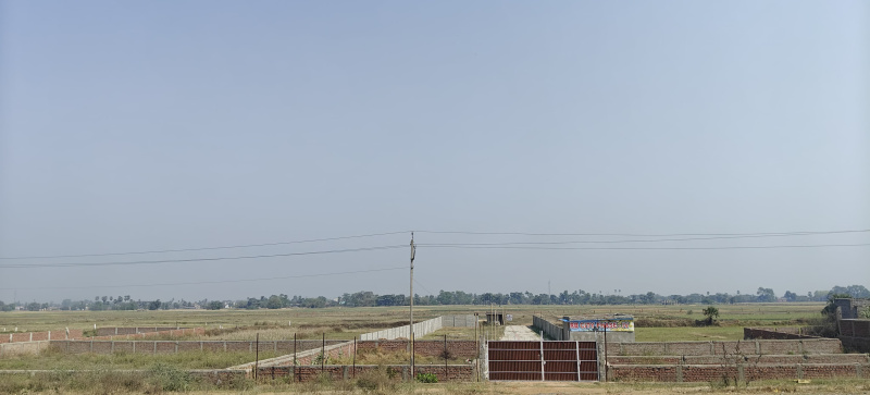  Residential Plot 1200 Sq.ft. for Sale in Kanhauli, Bihta, Patna