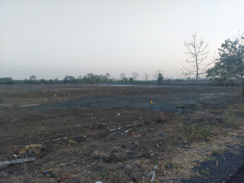  Residential Plot 1724 Sq.ft. for Sale in Mihan, Nagpur