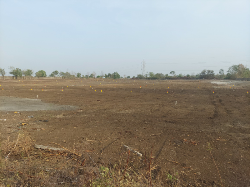  1563 Sq.ft. Residential Plot for Sale in Mihan, Nagpur