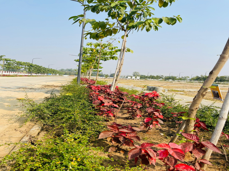  2110 Sq.ft. Residential Plot for Sale in Samruddhi Nagpur, 