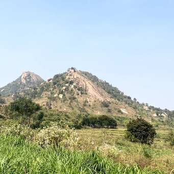  Industrial Land 10 Ares for Sale in Channapatna, Bangalore