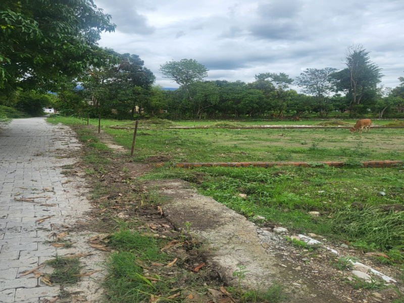  Residential Plot 125 Sq. Yards for Sale in Chakrata Road, Dehradun