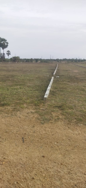  Residential Plot 1200 Sq.ft. for Sale in Vembakkam, Kanchipuram