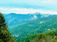 1 BHK Farm House for Sale in Mangar Village, Faridabad