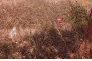  Residential Plot for Sale in Adukkamparai, Vellore