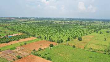  Agricultural Land for Sale in Rajapur, Hyderabad