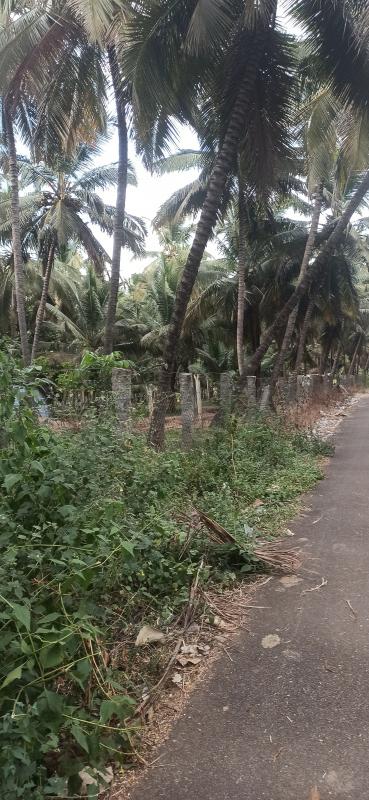  Agricultural Land 4 Acre for Sale in Pollachi, Coimbatore