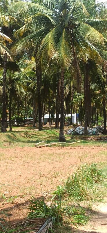  18 Acre Agricultural/Farm Land for Sale in Pollachi, Coimbatore