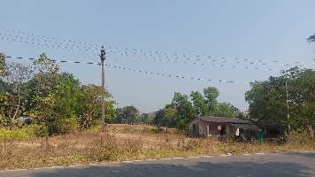  Industrial Land for Sale in Mangrol, Surat