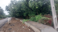  Residential Plot for Sale in Koteshwar Nagar, Pardi, Valsad