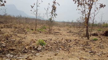  Agricultural Land for Sale in Sayli Road, Silvassa