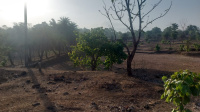  Industrial Land for Sale in Sayli Road, Silvassa