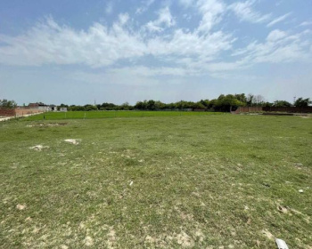  Agricultural Land for Sale in Sarigam, Valsad