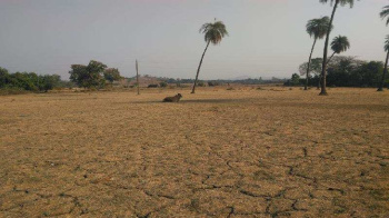  Agricultural Land for Sale in Sarigam, Valsad