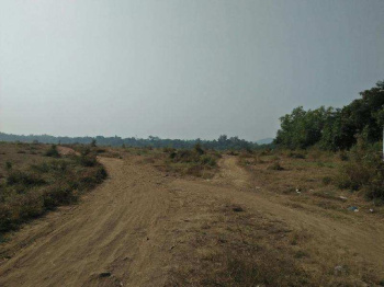  Agricultural Land for Sale in Umbergaon, Valsad