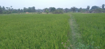  Agricultural Land for Sale in Umbergaon, Valsad