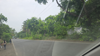  Agricultural Land for Sale in Gholvad, Palghar