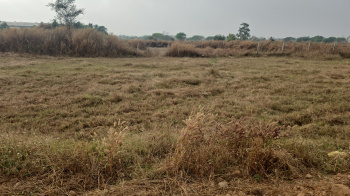  Residential Plot for Sale in Saraipali, Mahasamund