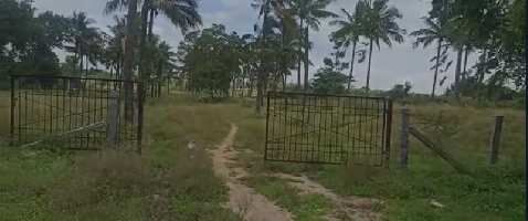  Warehouse for Rent in Denkanikottai Road, Hosur