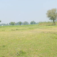  Agricultural Land for Sale in Sanand Nalsarovar Road, Ahmedabad