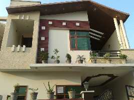 Residential Plot for Sale in Model Town, Khanna