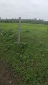  Residential Plot for Sale in Bilkisganj, Sehore
