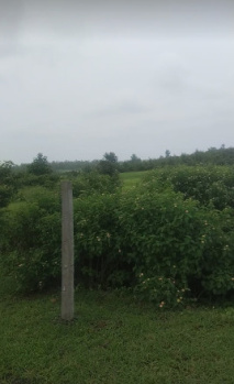  Residential Plot for Sale in Bilkisganj, Sehore