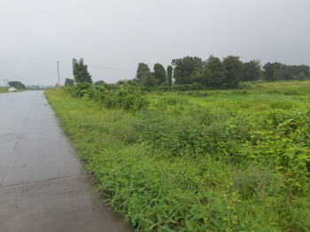  Residential Plot for Sale in Sudhagad, Raigad