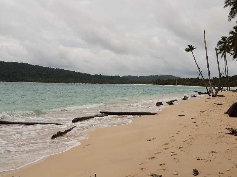  Residential Plot 9 Acre for Sale in Great nicobar island Andaman