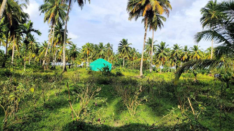  Residential Plot 9 Acre for Sale in Great nicobar island Andaman