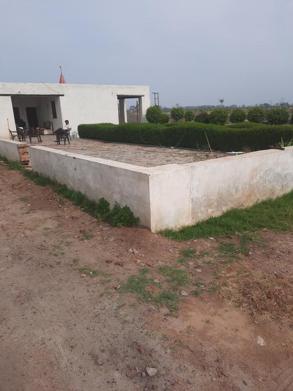  Residential Plot 500 Sq. Yards for Sale in Yamuna Expressway, Greater Noida