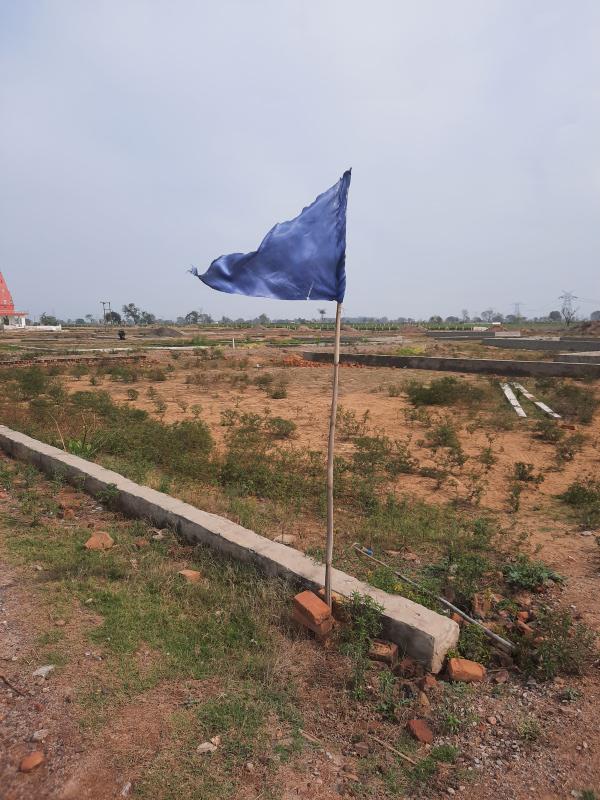  Residential Plot 500 Sq. Yards for Sale in Yamuna Expressway, Greater Noida