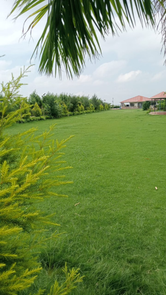 3 BHK Farm House 1240 Sq. Yards for Sale in Sector 151 Noida